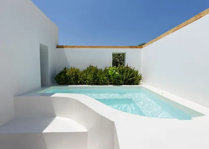 Noble Pearl Paros 別荘